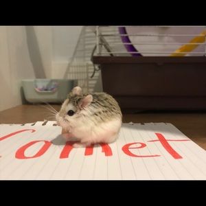 Meet your Posher, Heather